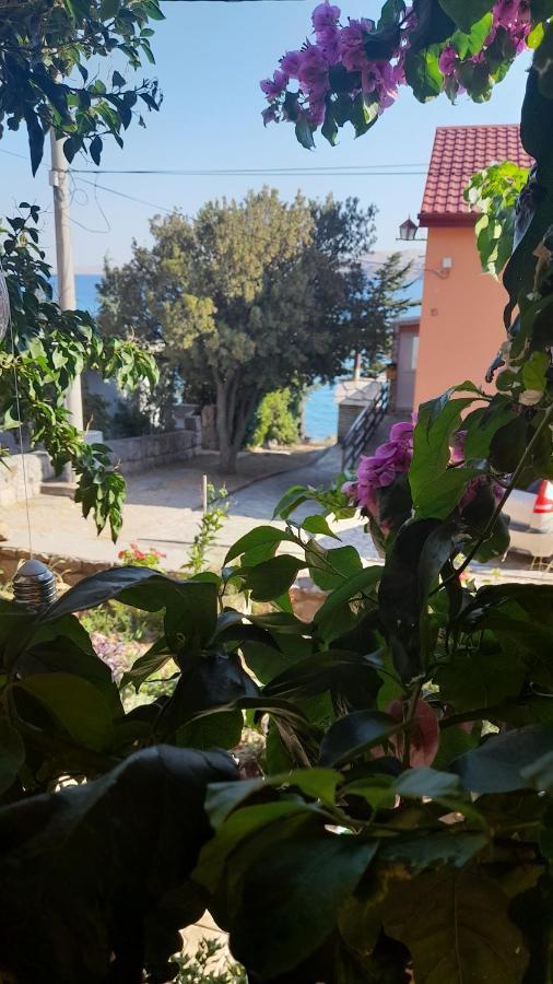 קרלובג Apartmani Ivankovic חדר תמונה